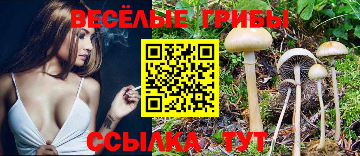 Псилоцибиновые грибы ЛСД  где продают наркотики  Джанкой  Псилоцибиновые грибы GOLDEN TEACHER  Вход с VPN 